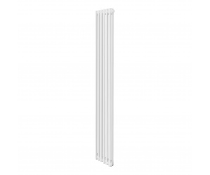 Дизайн-радиатор Royal Thermo Insignia VC2180 - 06 секц. (Белый)