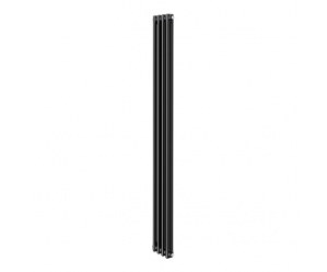 Трубчатый радиатор Royal Thermo Insignia C2180 - 04 секц. RAL9005m